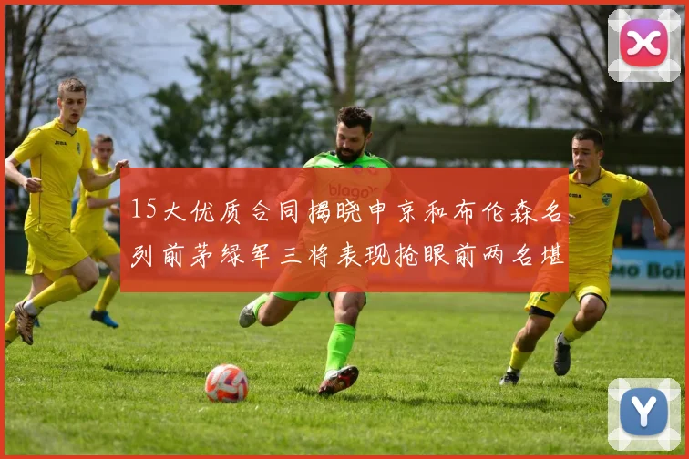 15大优质合同揭晓申京和布伦森名列前茅绿军三将表现抢眼前两名堪称传奇